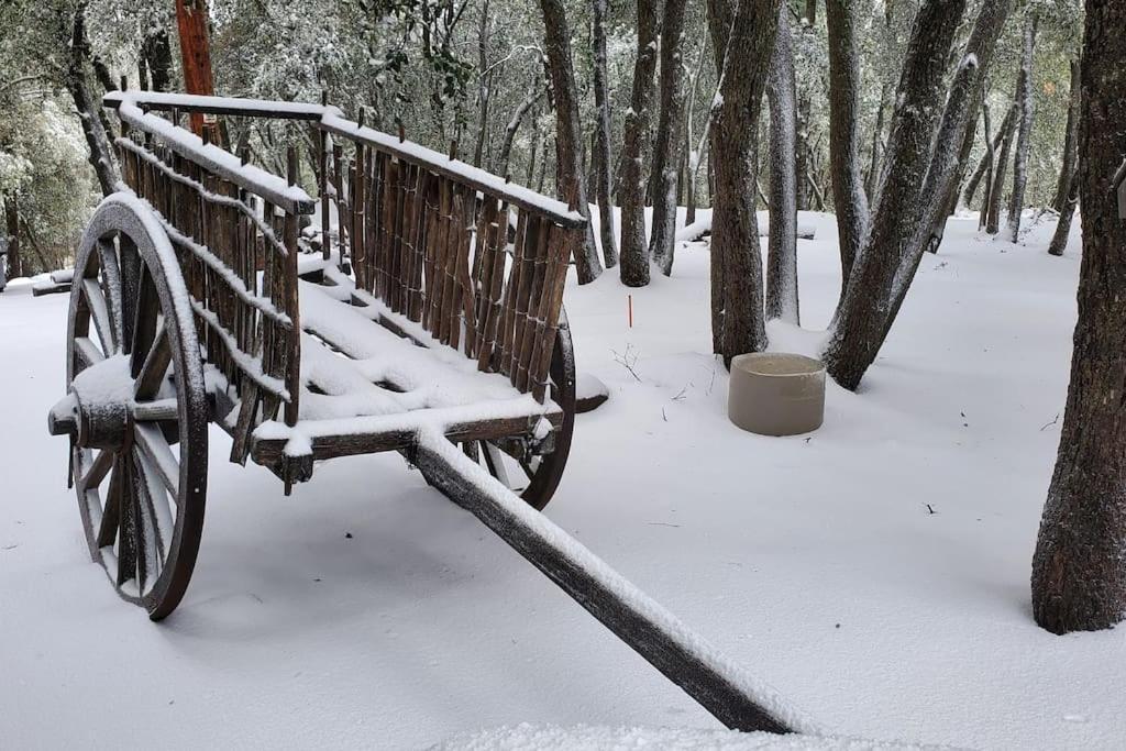Pine Hills Cabin In ג'וליאן מראה חיצוני תמונה