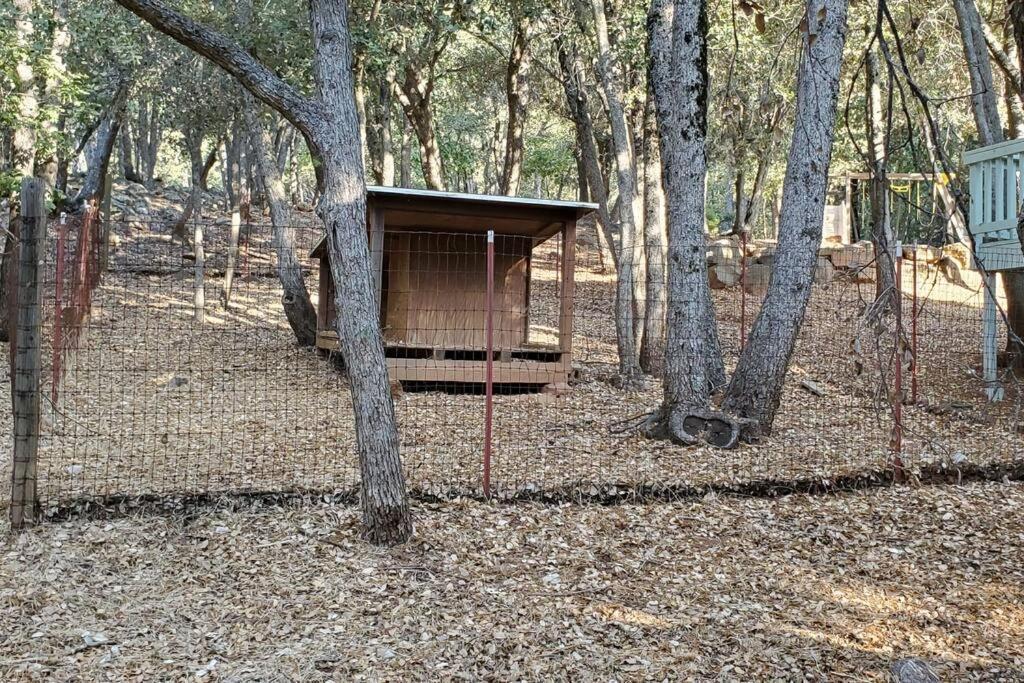 Pine Hills Cabin In ג'וליאן מראה חיצוני תמונה