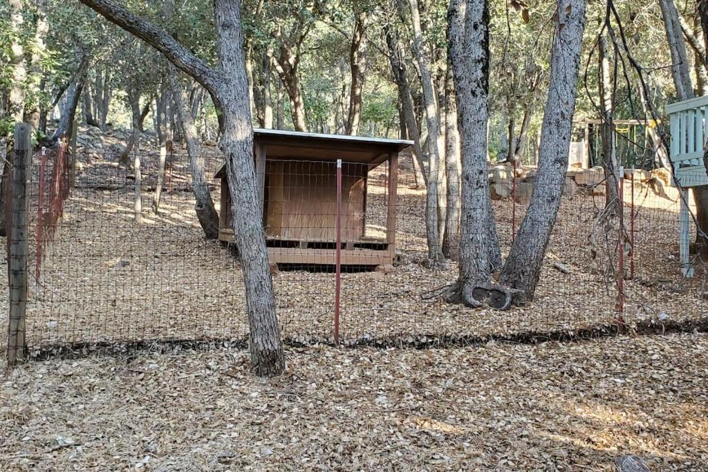 Pine Hills Cabin In ג'וליאן מראה חיצוני תמונה